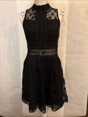 Francesca's Collections Black Lace High Neck Mini Dress